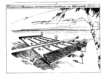 Состав альбома. Типовой проект 142-61Альбом 1 Здания для содержания КРС на 100,200 голов. Свинарники шалашного типа на 400-700 и 800-1100 голов, свинарник-полуземлянка (логовище) на 500,1000, 2000 голов. Птичники шалашного типа на 1000,1500,3000 кур, 2000 уток, 500 гусей. Птичник-полуземлянк